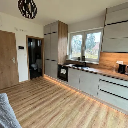U Plaze Lipna - Male Lipno Apartment Cerna v Posumavi